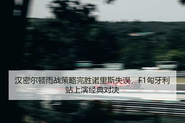 han-mi-er-dun-yu-zhan-ce-lve-wan-sheng-nuo-li-si-shi-wu-xiong-ya-li-zhan-shang-yan-jing-dian-dui-jue-2-466.jpg