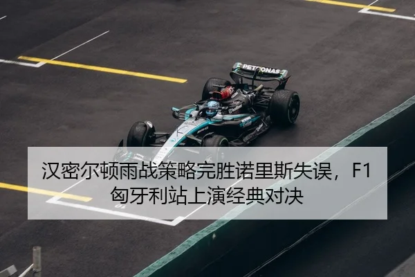 han-mi-er-dun-yu-zhan-ce-lve-wan-sheng-nuo-li-si-shi-wu-xiong-ya-li-zhan-shang-yan-jing-dian-dui-jue-3-449.jpg