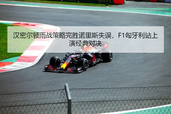 汉密尔顿雨战策略完胜诺里斯失误，F1匈牙利站上演经典对决
