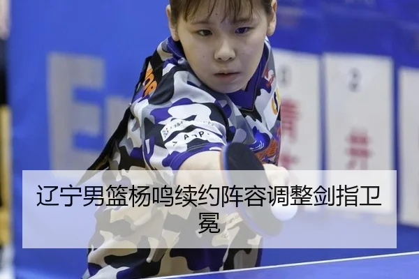 liao-ning-nan-lan-yang-ming-xu-yue-zhen-rong-tiao-zheng-jian-zhi-wei-mian-3-317.jpg