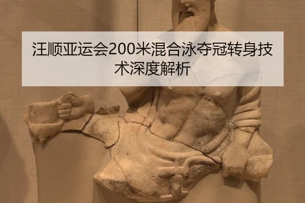 wang-shun-ya-yun-hui-mi-hun-he-yong-duo-guan-zhuan-shen-ji-shu-shen-du-jie-xi-2-840.jpg